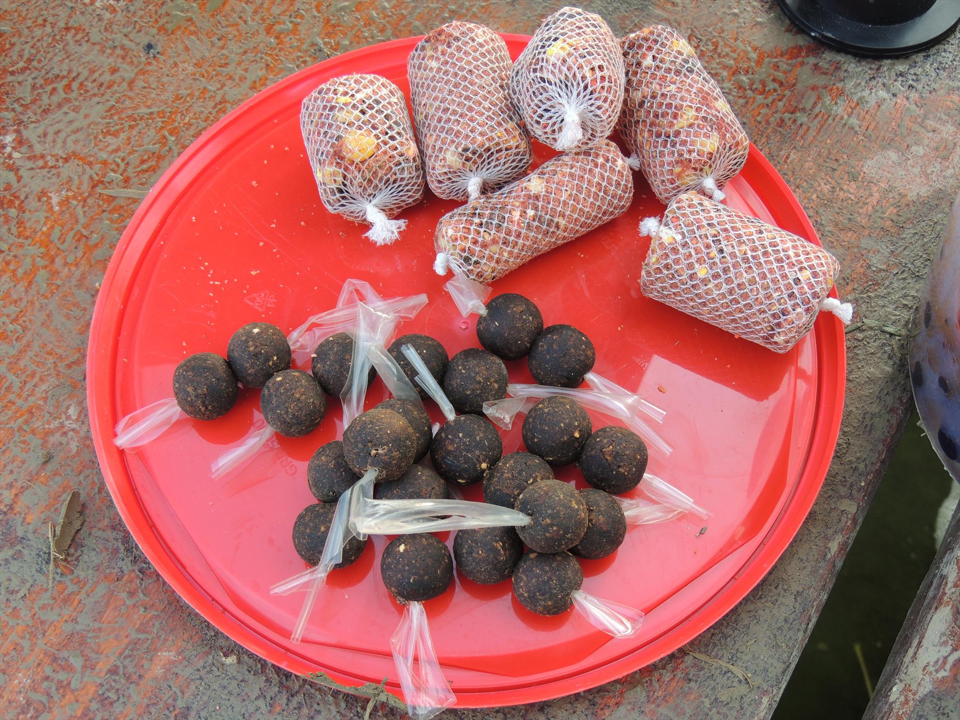 Pleasa - dscn0522.JPG